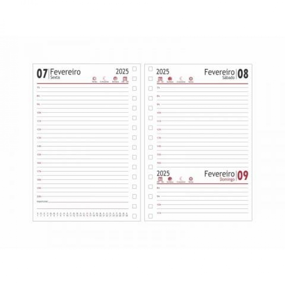 Agenda Diária 2025 Artes